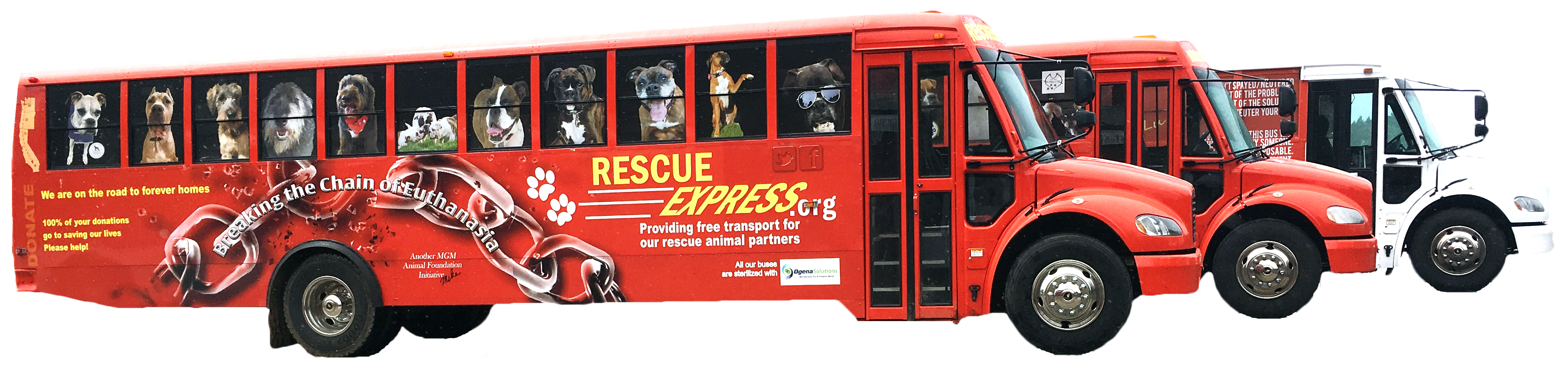 3 bus cutout